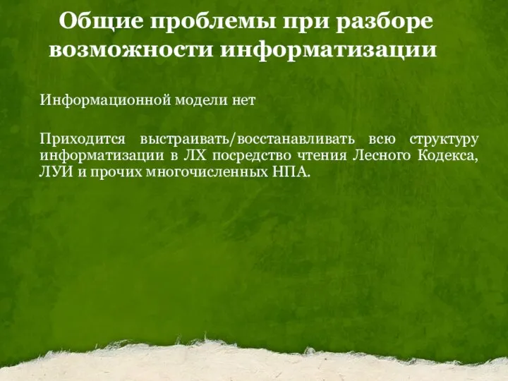 Общие проблемы при разборе возможности информатизации Информационной модели нет Приходится выстраивать/восстанавливать всю