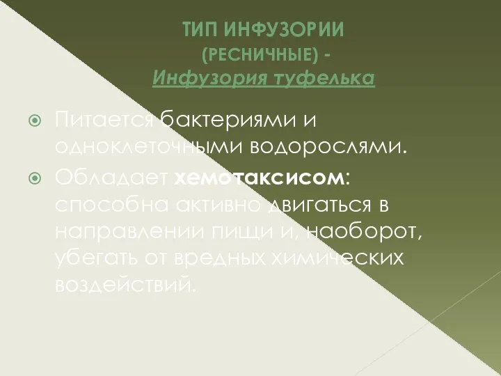 ТИП ИНФУЗОРИИ (РЕСНИЧНЫЕ) - Инфузория туфелька Питается бактериями и одноклеточными водорослями. Обладает