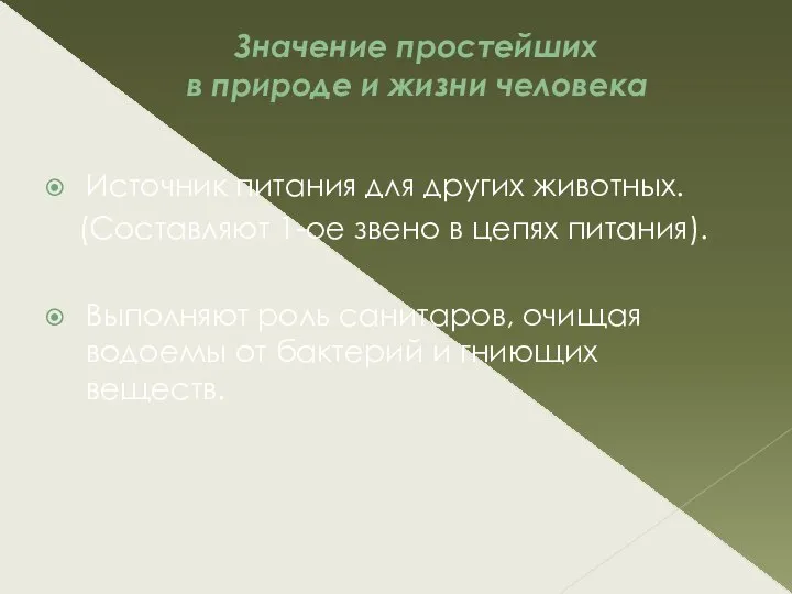 Значение простейших в природе и жизни человека Источник питания для других животных.