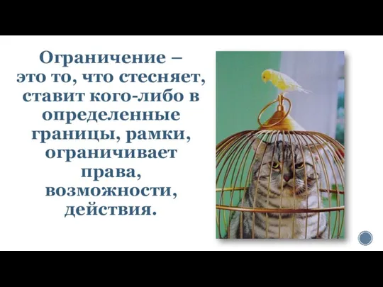 Ограничение – это то, что стесняет, ставит кого-либо в определенные границы, рамки, ограничивает права, возможности, действия.