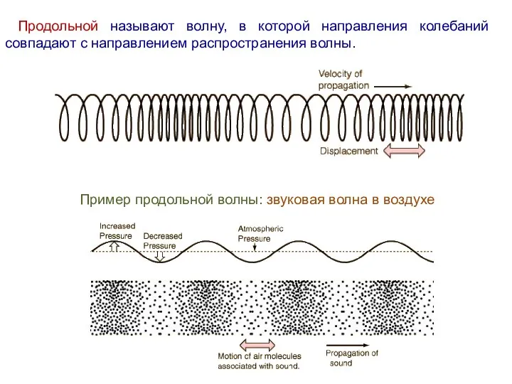 Продольной называют волну, в которой направления колебаний совпадают с направлением распространения волны.