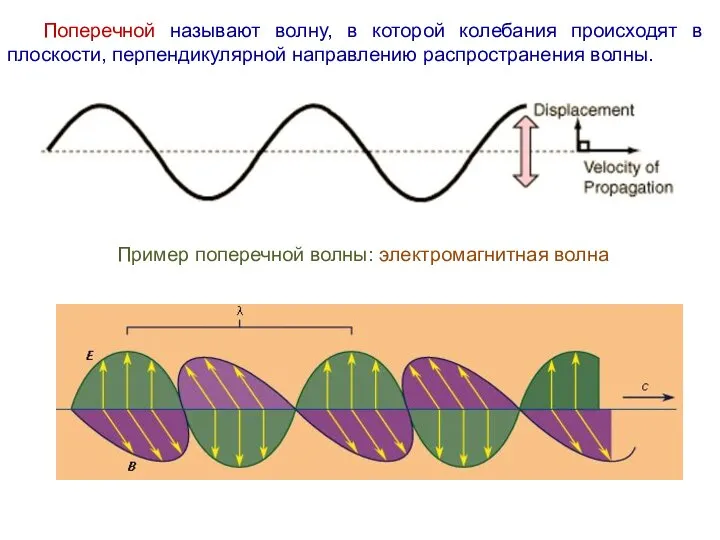 Поперечной называют волну, в которой колебания происходят в плоскости, перпендикулярной направлению распространения