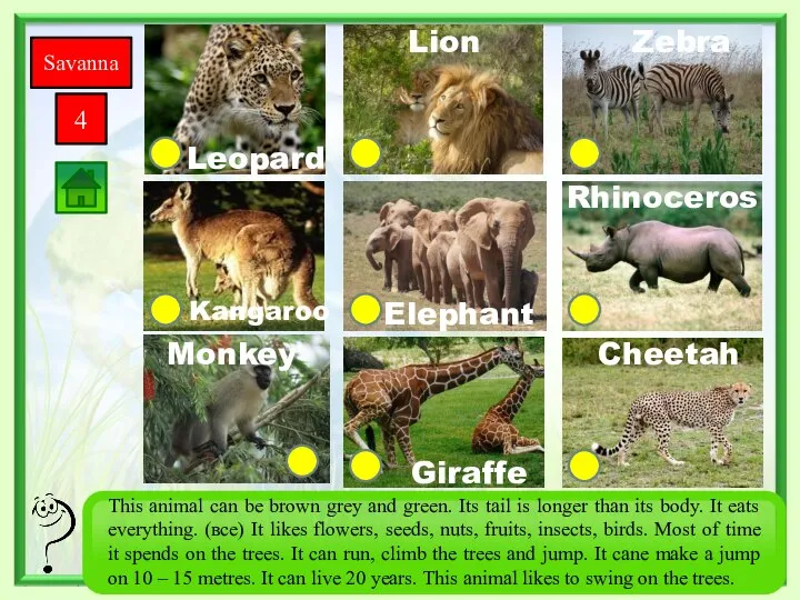 Savanna 4 Giraffe Monkey Zebra Rhinoceros Cheetah Elephant Kangaroo Leopard Lion