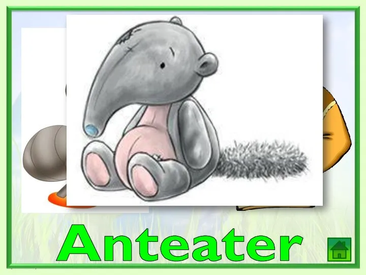 , , Anteater