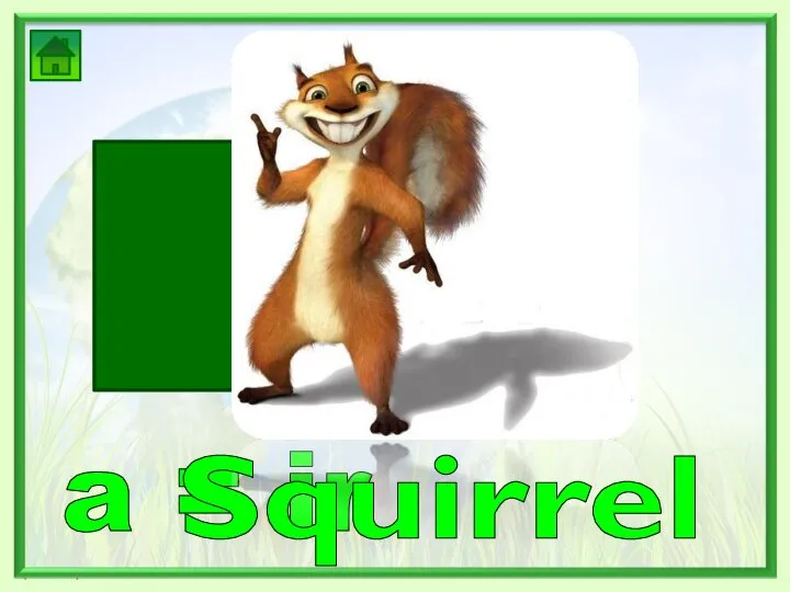 a = ir L Squirrel