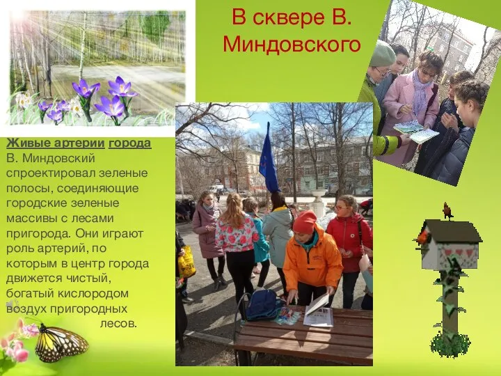 В сквере В.Миндовского Живые артерии города В. Миндовский спроектировал зеленые полосы, соединяющие