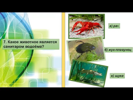 7. Какое животное является санитаром водоёма? а) рак б) жук-плавунец в) щука