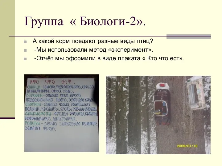 Группа « Биологи-2». А какой корм поедают разные виды птиц? -Мы использовали