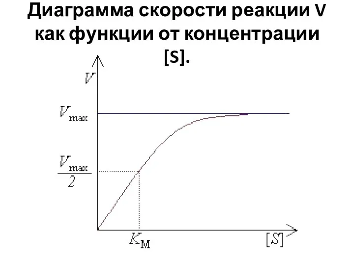 Диаграмма скорости реакции V как функции от концентрации [S].