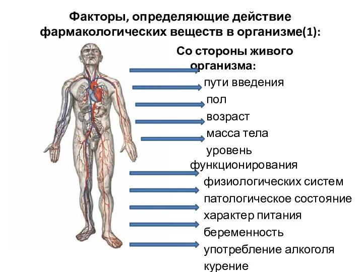 Факторы, определяющие действие фармакологических веществ в организме(1): Со стороны живого организма: пути