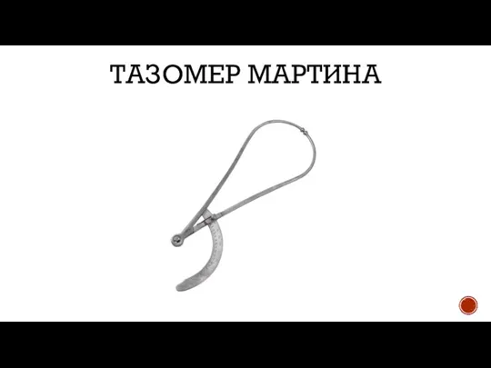 ТАЗОМЕР МАРТИНА