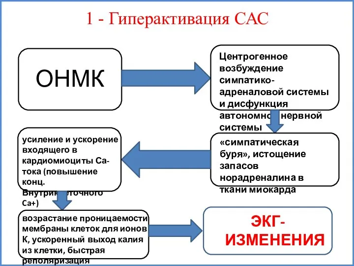 1 - Гиперактивация САС ОНМК Центрогенное возбуждение симпатико-адреналовой системы и дисфункция автономной