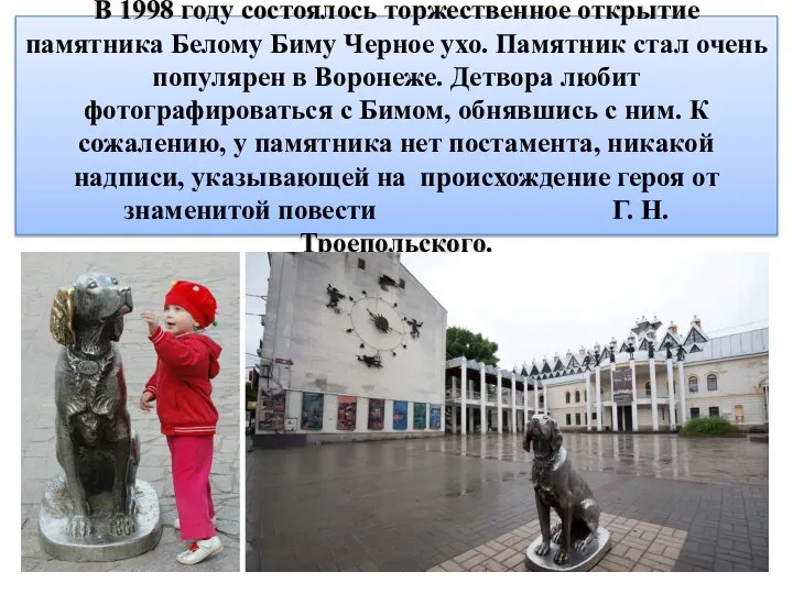 В 1998 году состоялось торжественное открытие памятника Белому Биму Черное ухо. Памятник