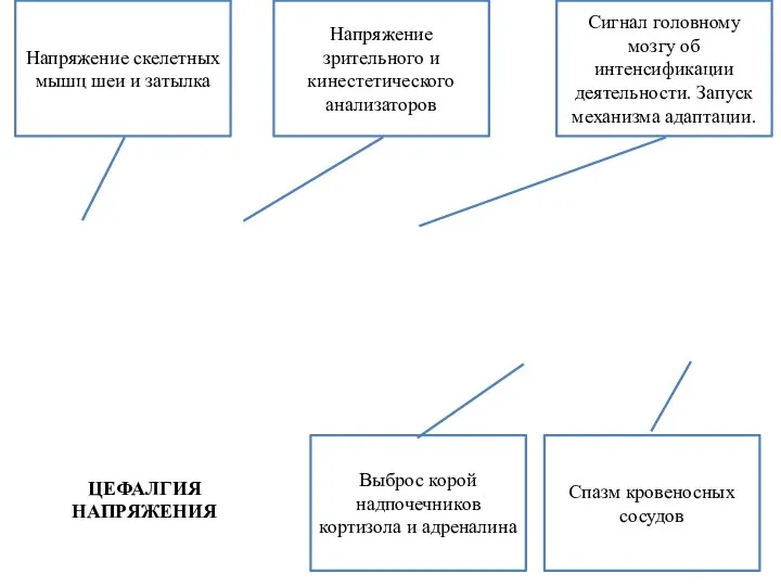 Напряжение скелетных мышц шеи и затылка Напряжение зрительного и кинестетического анализаторов Сигнал