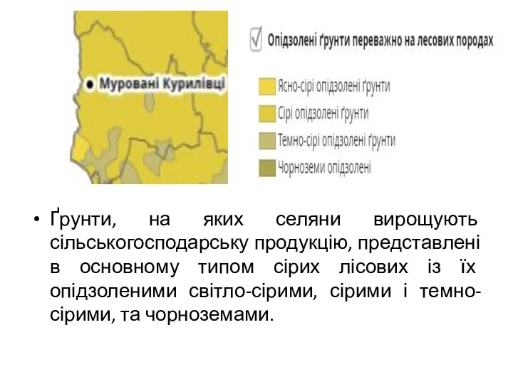 Ґрунти, на яких селяни вирощують сільськогосподарську продукцію, представлені в основному типом сірих