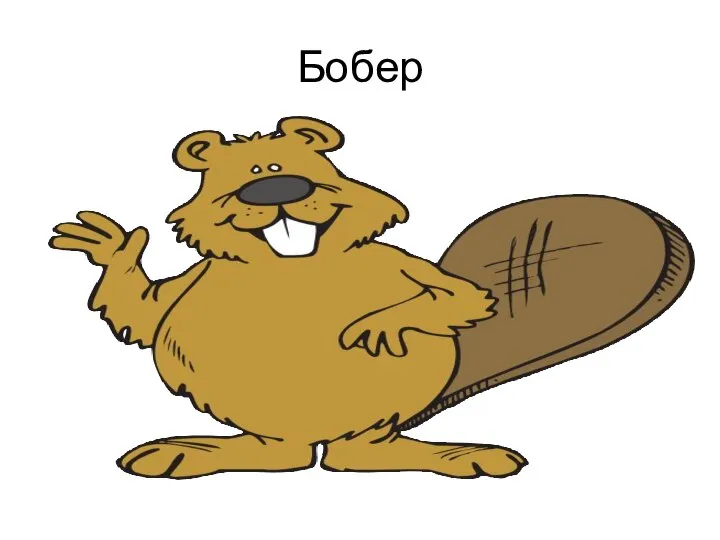 Бобер