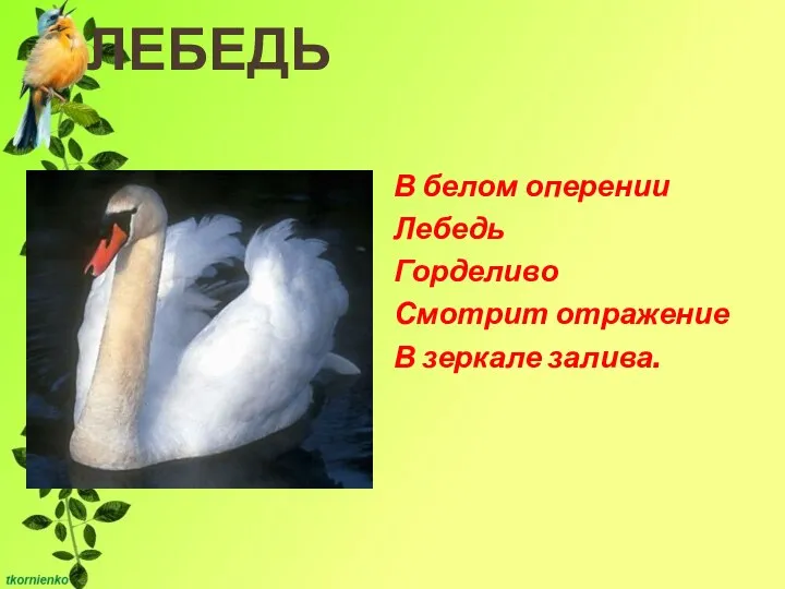 ЛЕБЕДЬ В белом оперении Лебедь Горделиво Смотрит отражение В зеркале залива.