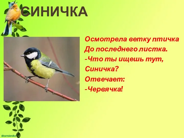 СИНИЧКА Осмотрела ветку птичка До последнего листка. -Что ты ищешь тут, Синичка? Отвечает: -Червячка!