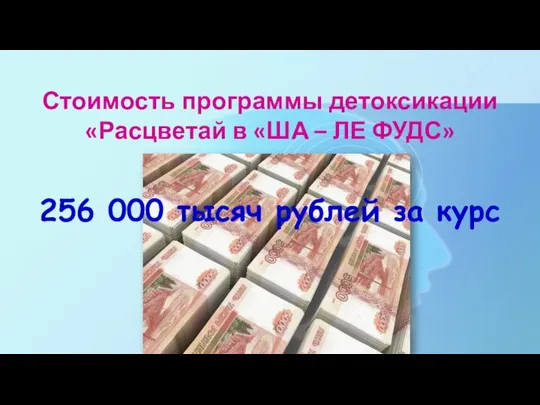 Стоимость программы детоксикации «Расцветай в «ША – ЛЕ ФУДС» 256 000 тысяч рублей за курс