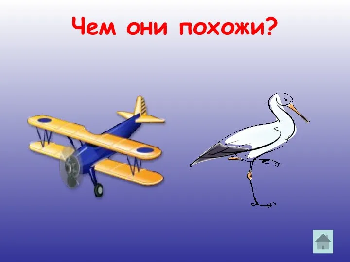 Чем они похожи?