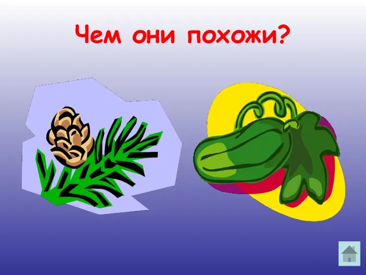 Чем они похожи?