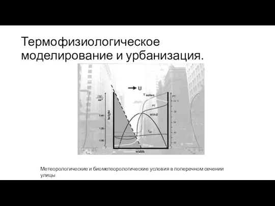 Термофизиологическое моделирование и урбанизация. Метеорологические и биометеорологические условия в поперечном сечении улицы