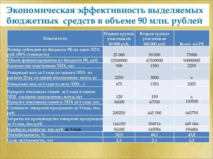 Экономическая эффективность выделяемых бюджетных средств в объеме 90 млн. рублей