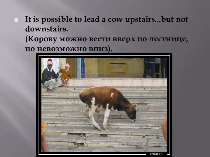 It is possible to lead a cow upstairs...but not downstairs. (Корову можно