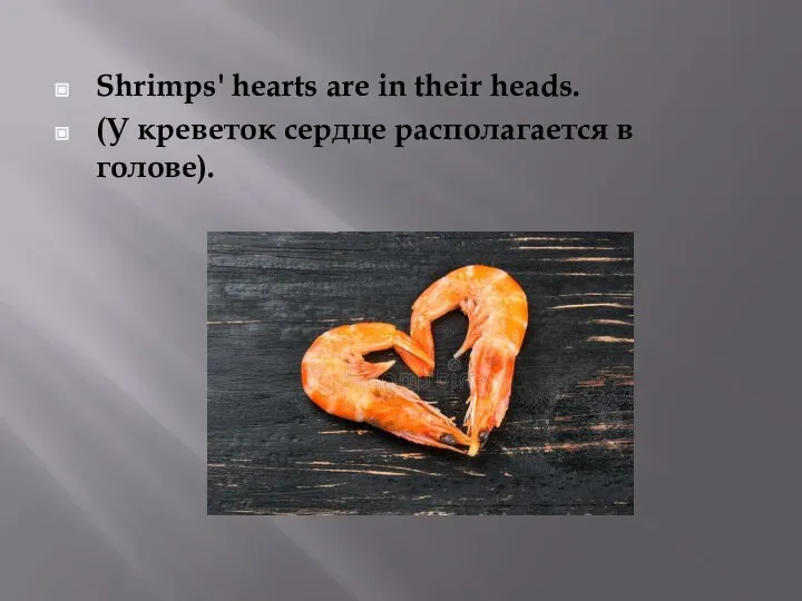 Shrimps' hearts are in their heads. (У креветок сердце располагается в голове).