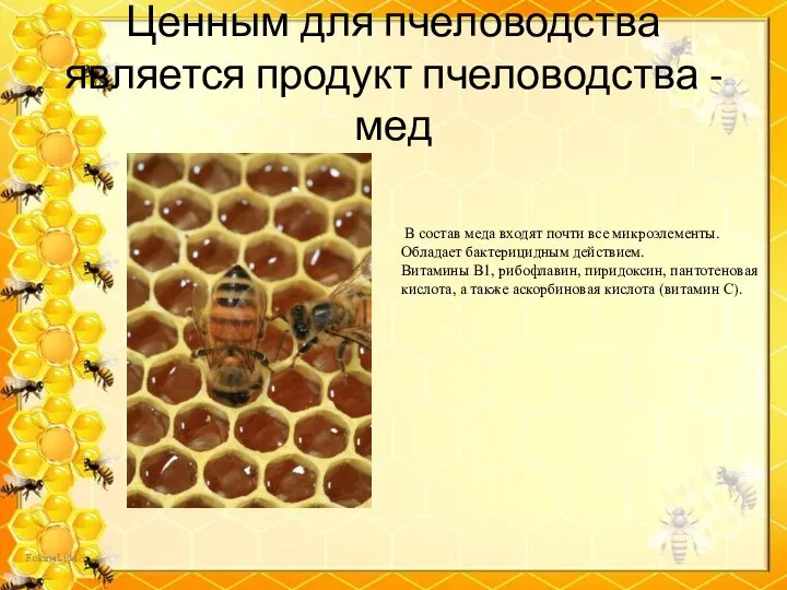 Ценным для пчеловодства является продукт пчеловодства - мед В состав меда входят