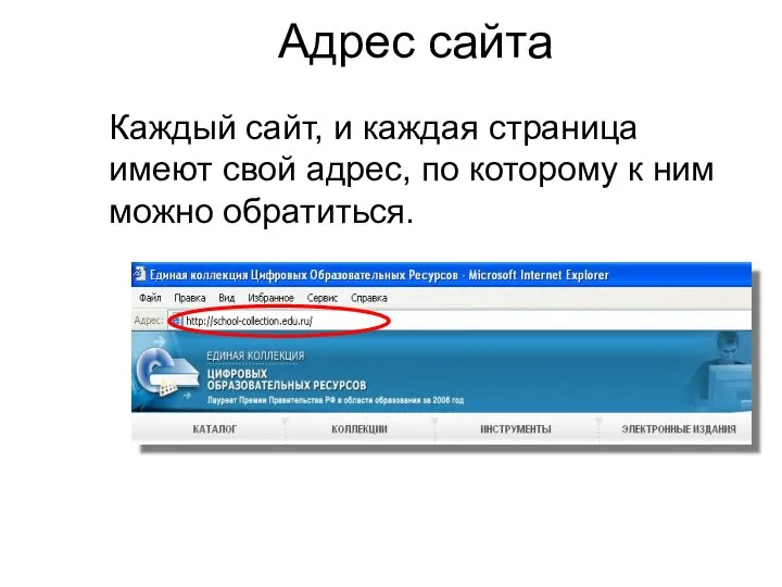 Адрес сайта Каждый сайт, и каждая страница имеют свой адрес, по которому к ним можно обратиться.