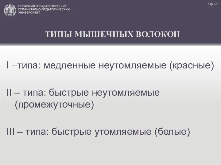 ТИПЫ МЫШЕЧНЫХ ВОЛОКОН I –типа: медленные неутомляемые (красные) II – типа: быстрые