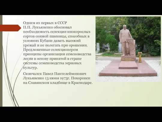 Одним из первых в СССР П.П. Лукьяненко обосновал необходимость селекции низкорослых сортов
