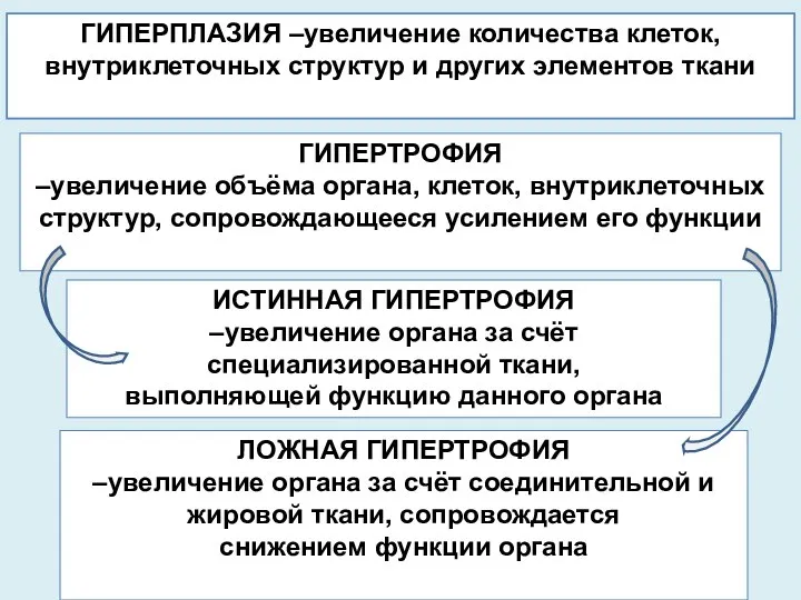 ГИПЕРПЛАЗИЯ –увеличение количества клеток, внутриклеточных структур и других элементов ткани ГИПЕРТРОФИЯ –увеличение