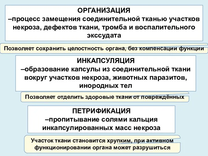 ИНКАПСУЛЯЦИЯ –образование капсулы из соединительной ткани вокруг участков некроза, животных паразитов, инородных