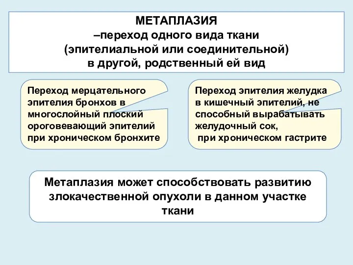 МЕТАПЛАЗИЯ –переход одного вида ткани (эпителиальной или соединительной) в другой, родственный ей