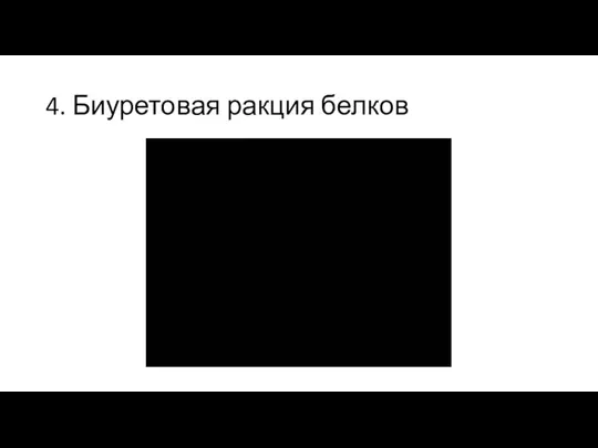 4. Биуретовая ракция белков