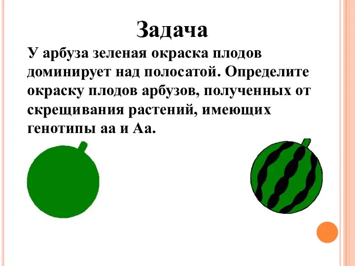 У арбуза зеленая окраска плодов доминирует над полосатой. Определите окраску плодов арбузов,