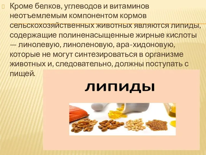 Кроме белков, углеводов и витаминов неотъемлемым компонентом кормов сельскохозяйственных животных являются липиды,