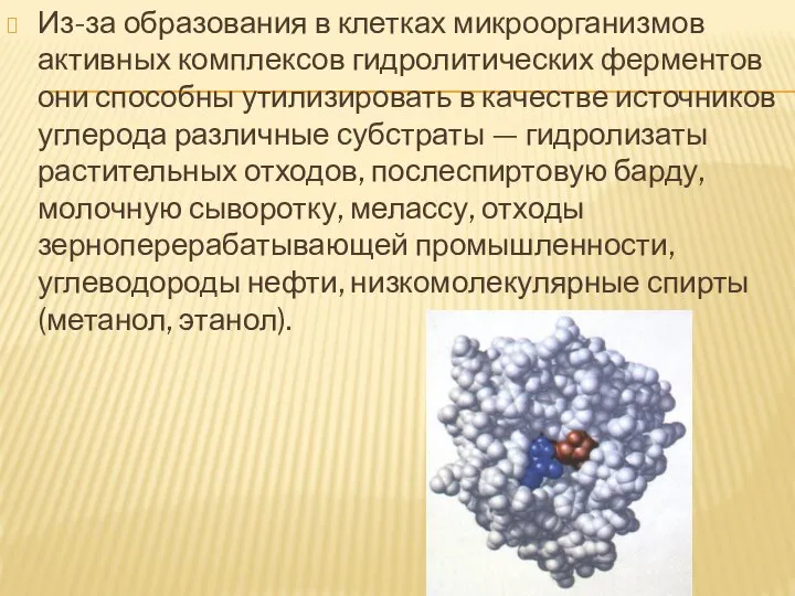 Из-за образования в клетках микроорганизмов активных комплексов гидролитических ферментов они способны утилизировать