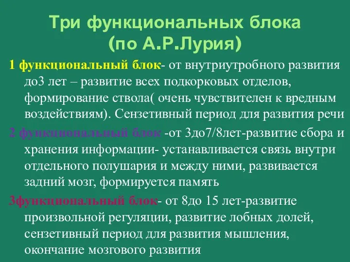 Три функциональных блока (по А.Р.Лурия) 1 функциональный блок- от внутриутробного развития до3