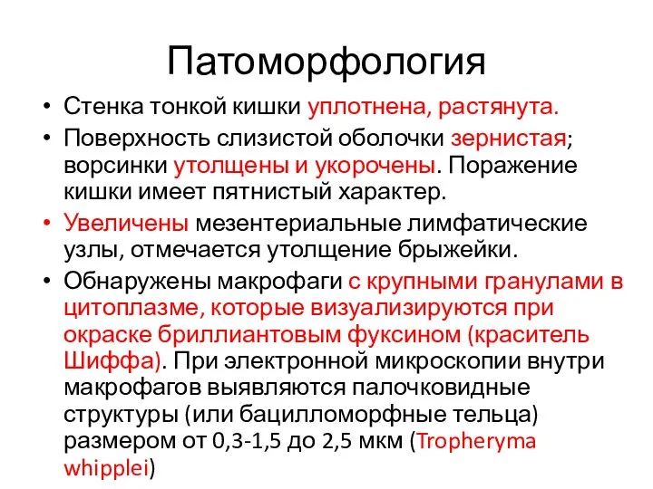 Патоморфология Стенка тонкой кишки уплотнена, растянута. Поверхность слизистой оболочки зернистая; ворсинки утолщены