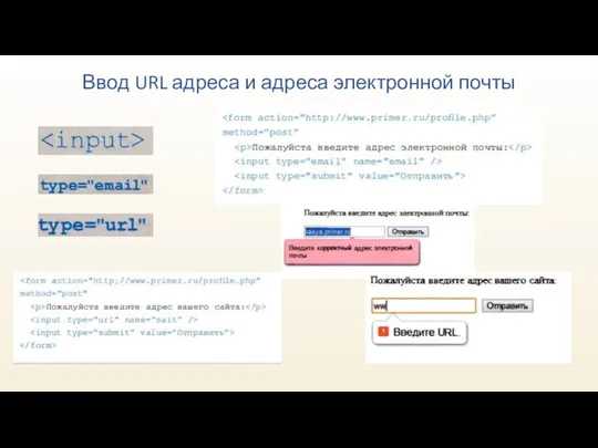Ввод URL адреса и адреса электронной почты