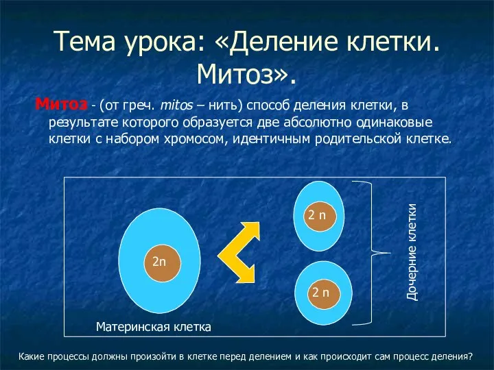 Тема урока: «Деление клетки. Митоз». Митоз - (от греч. mitos – нить)