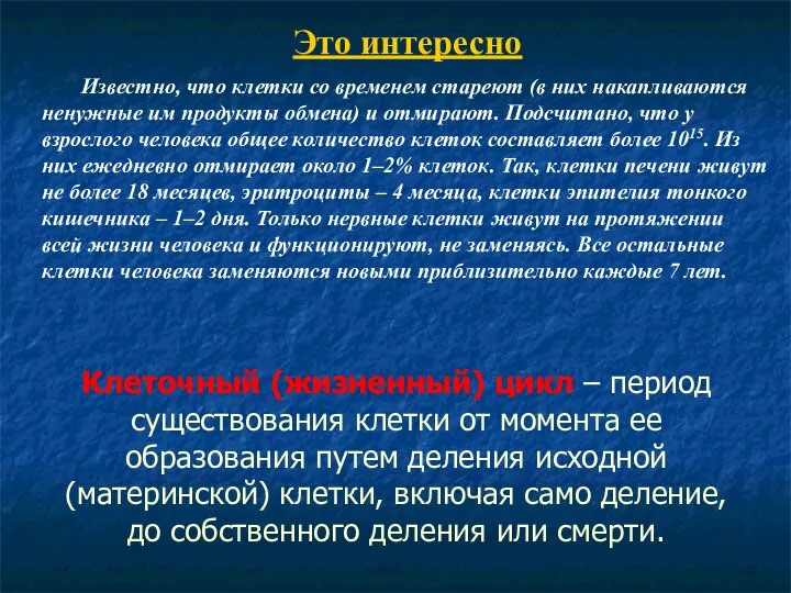 Клеточный (жизненный) цикл – период существования клетки от момента ее образования путем