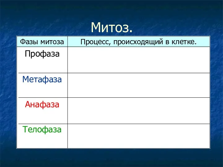 Митоз.