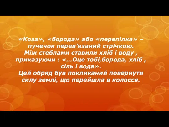 «Коза», «борода» або «перепілка» – пучечок перев’язаний стрічкою. Між стеблами ставили хліб