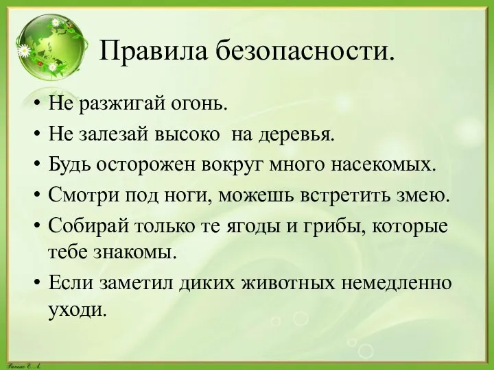 Правила безопасности. Не разжигай огонь. Не залезай высоко на деревья. Будь осторожен