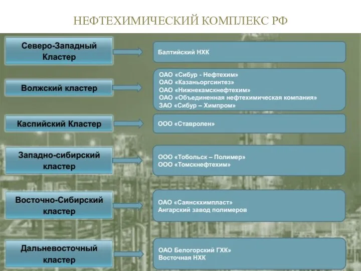 НЕФТЕХИМИЧЕСКИЙ КОМПЛЕКС РФ