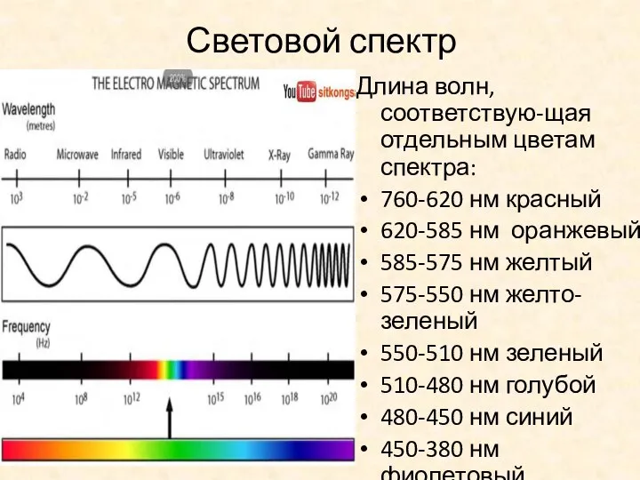 Световой спектр Длина волн, соответствую-щая отдельным цветам спектра: 760-620 нм красный 620-585